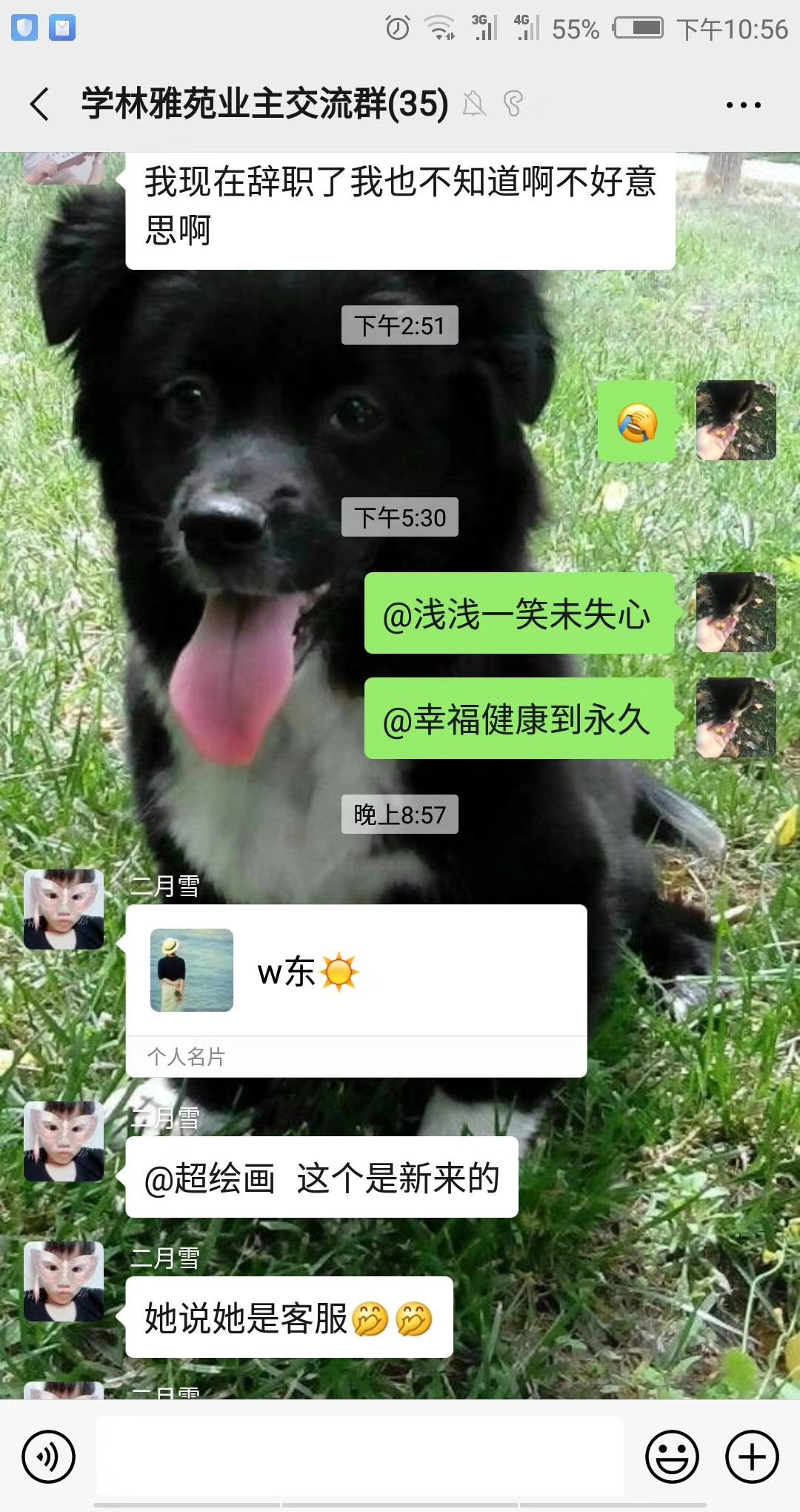 mmexport1567785885360.jpg