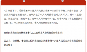 刚刚，新一届禹州市人大常委会、市政府领导班子选举产生（附名单） ... ...